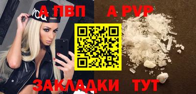 шишки Тара