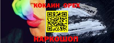 шишки Тара