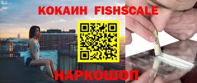шишки Тара