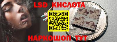 шишки Тара