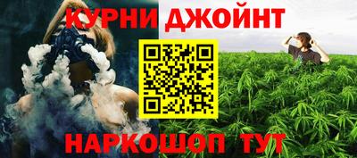 шишки Тара