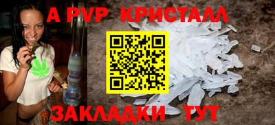 шишки Тара